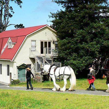 Willa The Carriage House-Bay Of Islands Kerikeri Zewnętrze zdjęcie